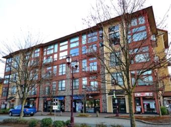 Lavender Square