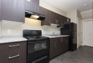 Secondary Suite Kitchen