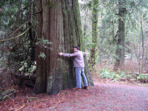 Goldstream Provincial Park. Photo: Dylan Park. Used under license.