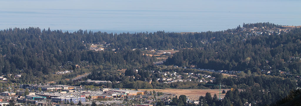 Homes and Shopping in Downtown Langford